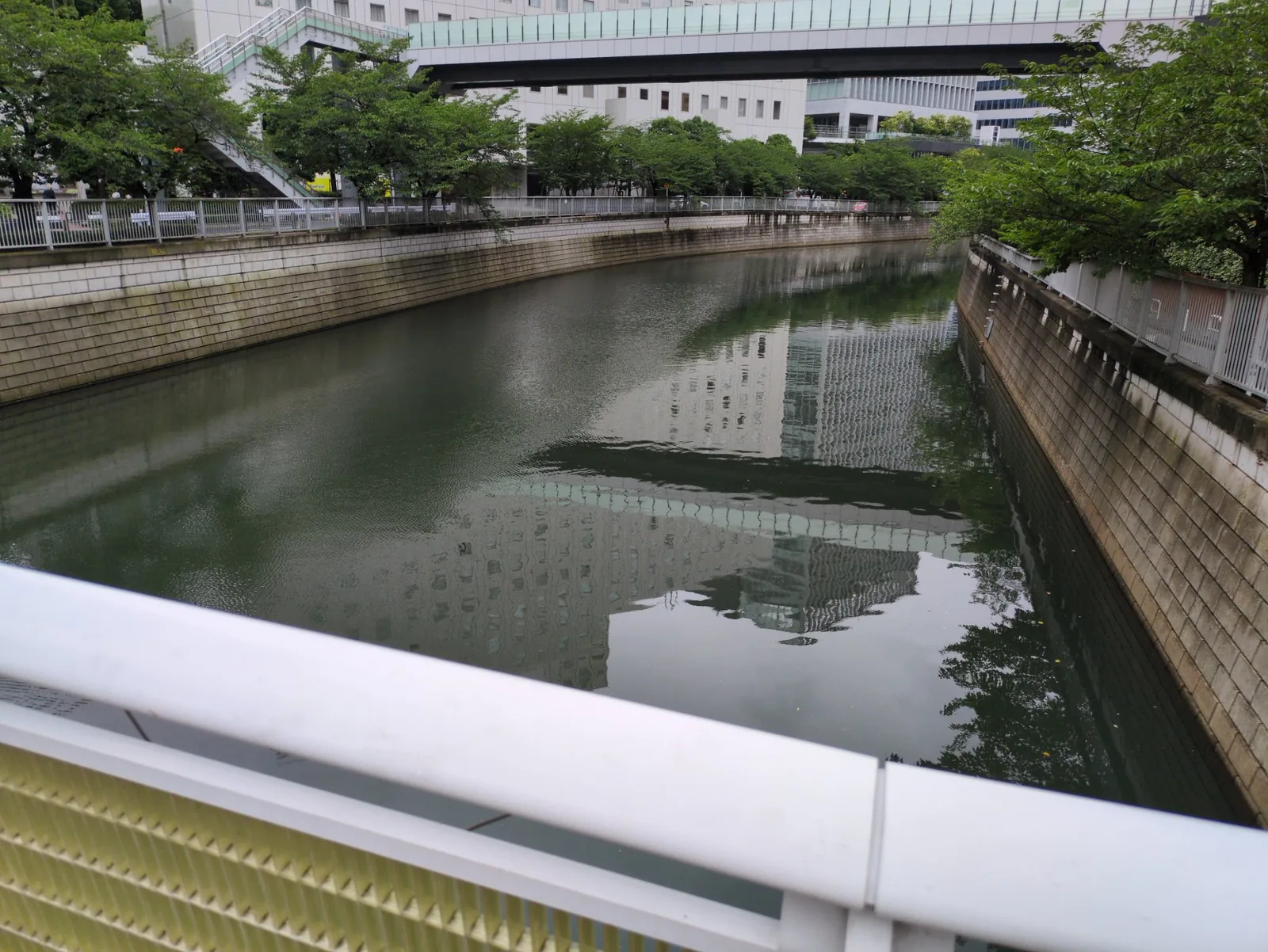 目黒川の水面に映る、逆さのビル